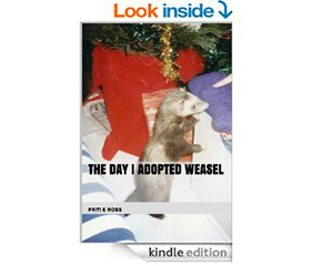 THE CHILDREN’S BOOK – The Day I Adopted Weasel